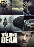 The Walking Dead 8×04 [720p]